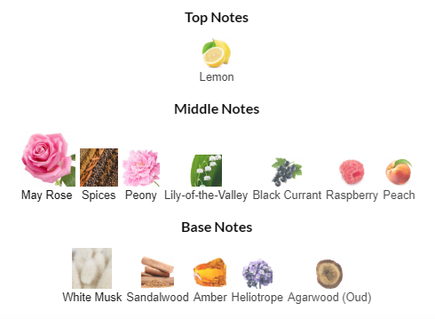 Christian Dior La Colle Noire EDP 125mL Notes