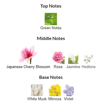 Christian Dior Sakura EDP 125mL Notes