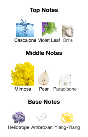 Amouage Love Mimosa EDP 100mL