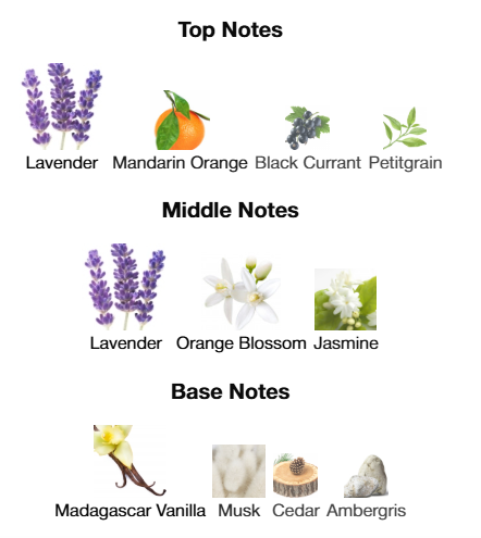 Yves Saint Laurent Libre EDP 90mL