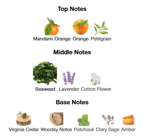 Bvlgari Aqva Pour Homme EDT 100mL