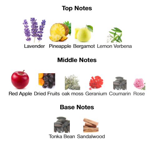 Mont Blanc Legend EDT 100mL