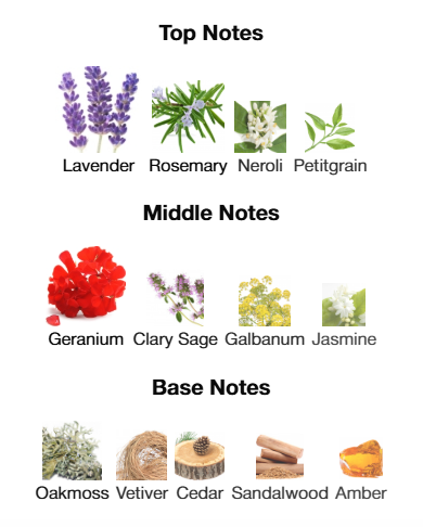 Chanel Platinum Egoiste Pour Homme EDT 100mL