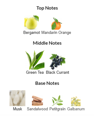 Creed Silver Mountain Water 100mL