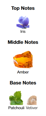 Dior Homme Parfum 100mL