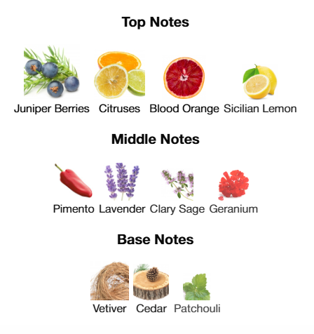 Dolce & Gabbana King EDT 100mL