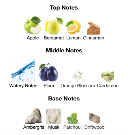 Rasasi Hawas For Him EDP 100mL