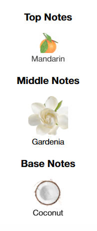 Valentino Donna Born In Roma The Gold EDP 100mL