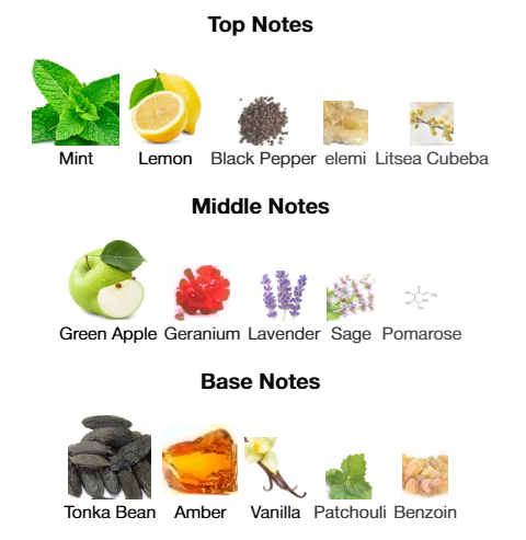 Versace Eros Parfum 100mL