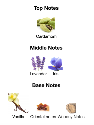 Jean Paul Gaultier Le Male Le Parfum EDP Intense 125mL