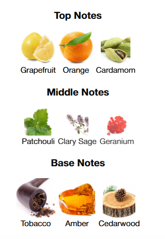 Dolce & Gabbana The One Pour Homme EDP 100mL