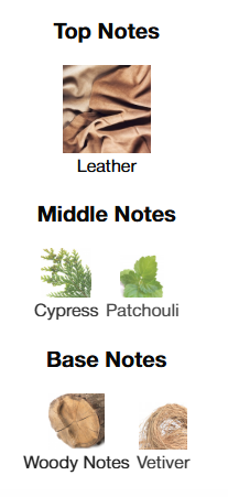 Gucci Guilty Pour Homme Absolute EDP 90mL