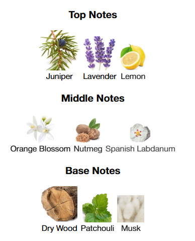 Gucci Guilty Pour Homme Parfum 90mL