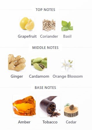 Dolce & Gabbana The One Pour Homme EDT 100mL