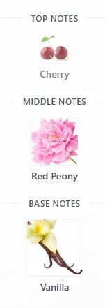 Victoria’s Secret Bombshell Intense EDP 100mL