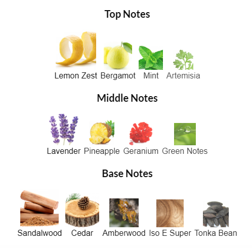 Bleu De Chanel Parfum 100mL