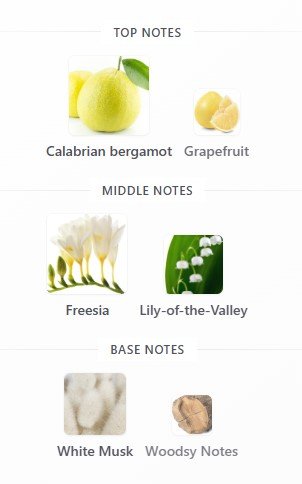 Christian Dior Addict Eau Fraiche 100mL