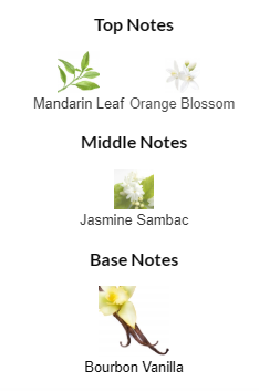 Dior Addict EDP 100mL