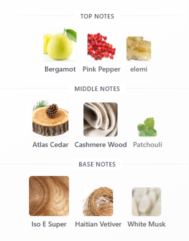 Dior Homme EDT 100mL