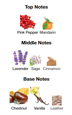 Emporio Armani Stronger With You Parfum 100mL