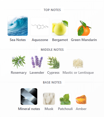 Giorgio Armani Acqua Di Gio Profondo EDP 100mL