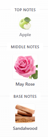 Lancome Idole Power L'eau De Parfum Intense 100mL