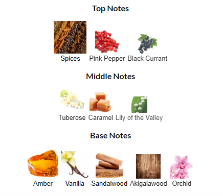 Versace Crystal Noir EDP 90mL