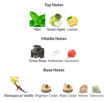 Versace Eros EDT 100mL