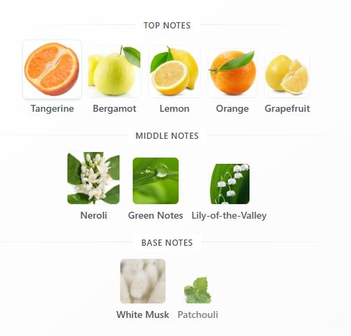 Chanel Paris Biarritz Les Eaux De Chanel EDT 125mL