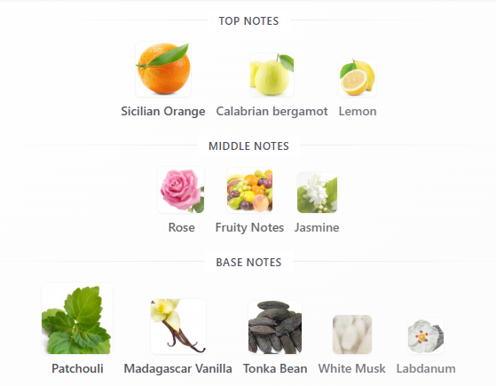 Coco Chanel Mademoiselle EDP Intense 100mL