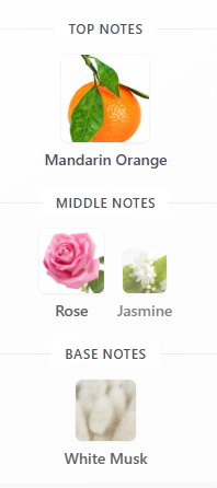 Coco Chanel Mademoiselle L’Eau Privee Eau Pour La Nuit 100mL