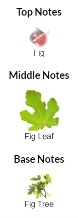 Diptyque Philosykos EDT 100mL