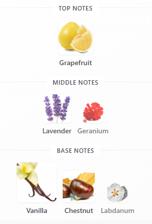 Dolce & Gabbana The One For Men EDT 100mL