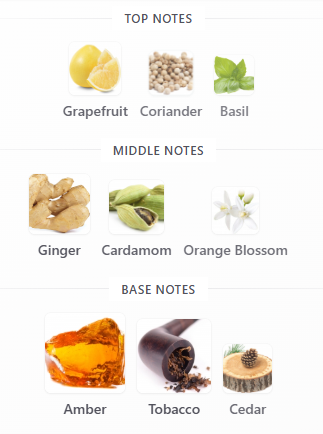 Emporio Armani Stronger With You Only EDT 100mL