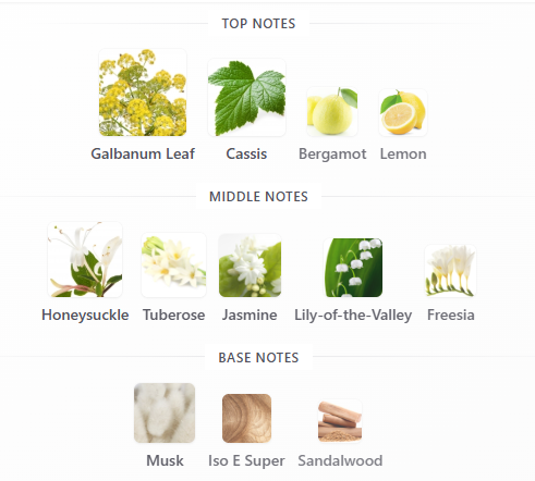 Gucci Bloom Acqua Di Fiori EDT 100mL