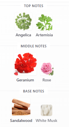 Hugo Boss The Collection Energetic Fougere EDP 100mL