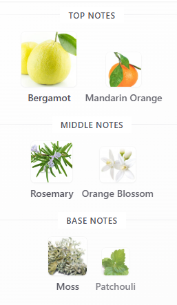 Hugo Boss The Collection Vigorous Cologne EDP 100mL