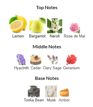 Versace Pour Homme EDT 100mL