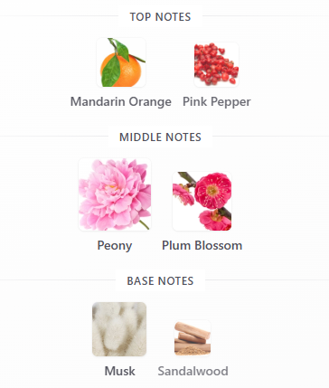 Burberry Her Blossom EDT 100mL